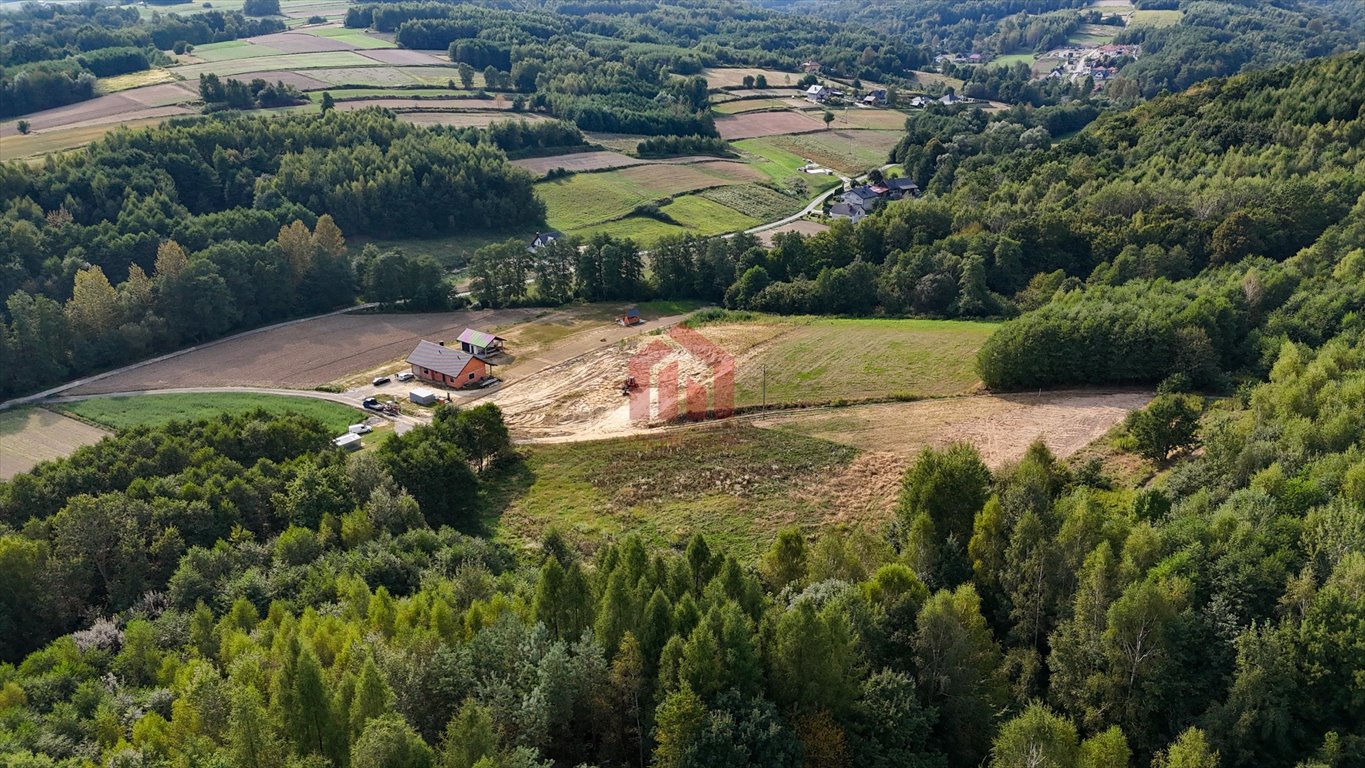 Działka budowlana na sprzedaż Niedźwiada  2 480m2 Foto 1