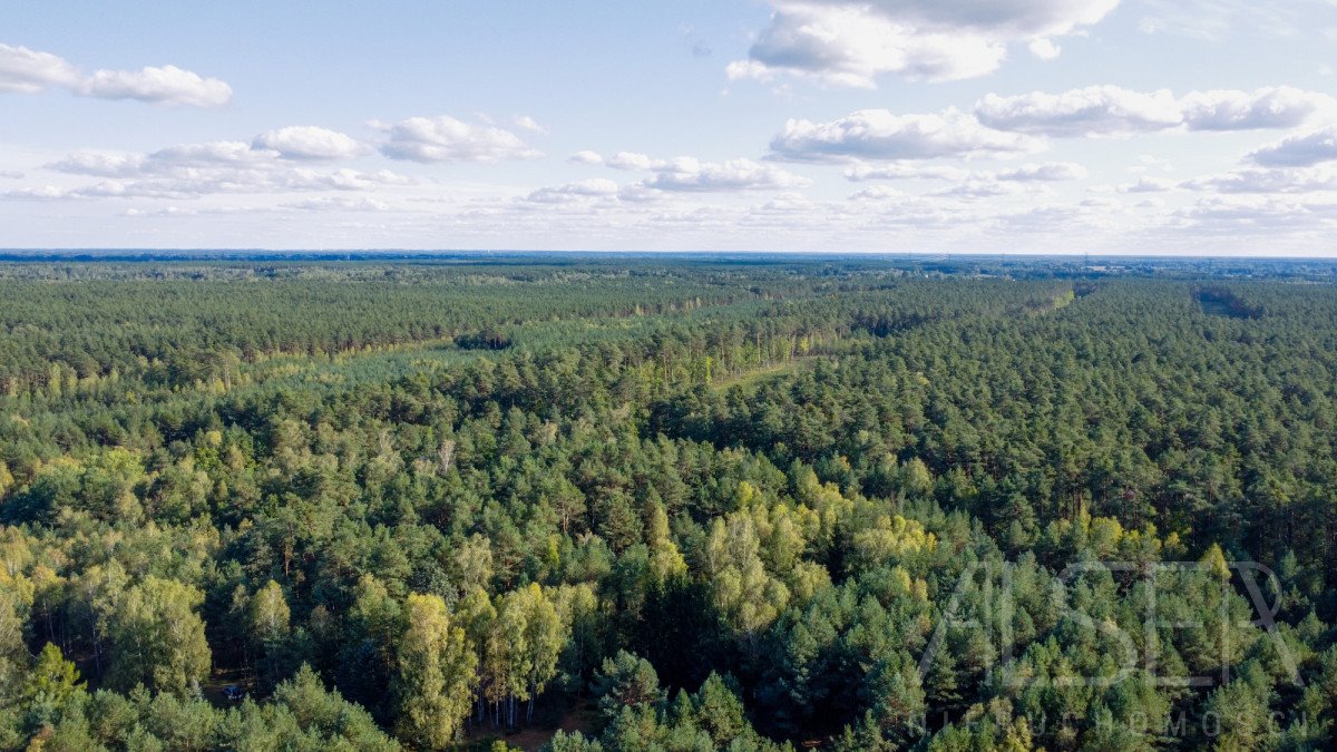 Działka budowlana na sprzedaż Basinów  972m2 Foto 9