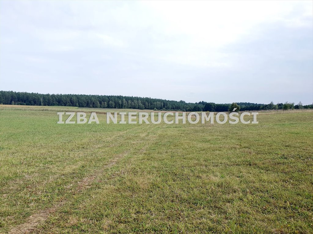 Działka rekreacyjna na sprzedaż Grabnik  3 400m2 Foto 17