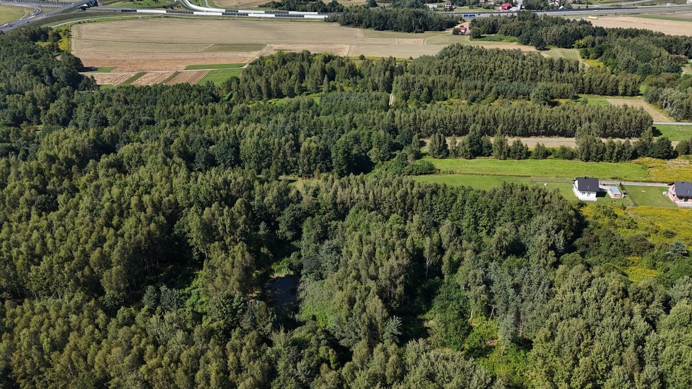 Działka budowlana na sprzedaż Tarnów  2 600m2 Foto 1