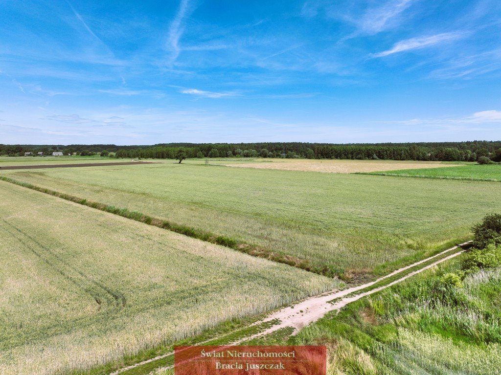 Grunt rolny 13 800 m² w Masłowcu – idealny pod uprawy Masłowiec  13 800m2 Foto 1