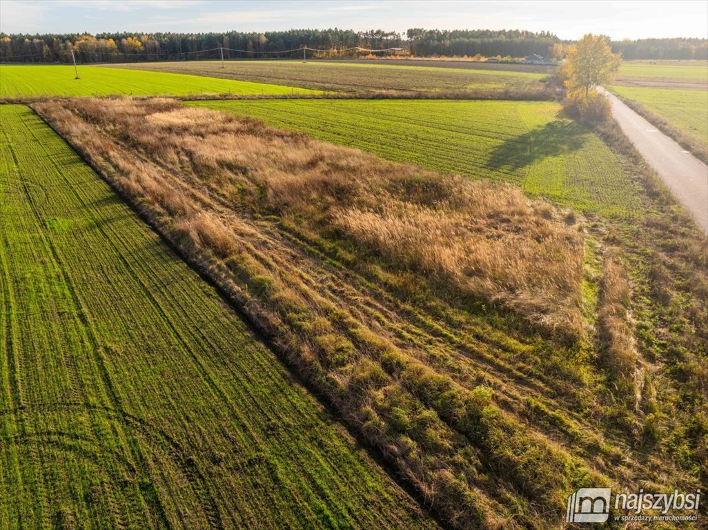 Działka rolna na sprzedaż Glewice, centrum  2 777m2 Foto 11