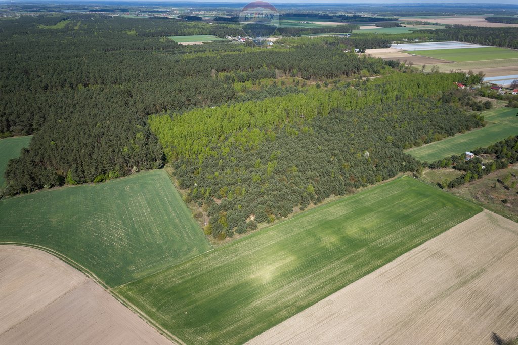 Działka budowlana na sprzedaż Nowa Wrona  42 972m2 Foto 4