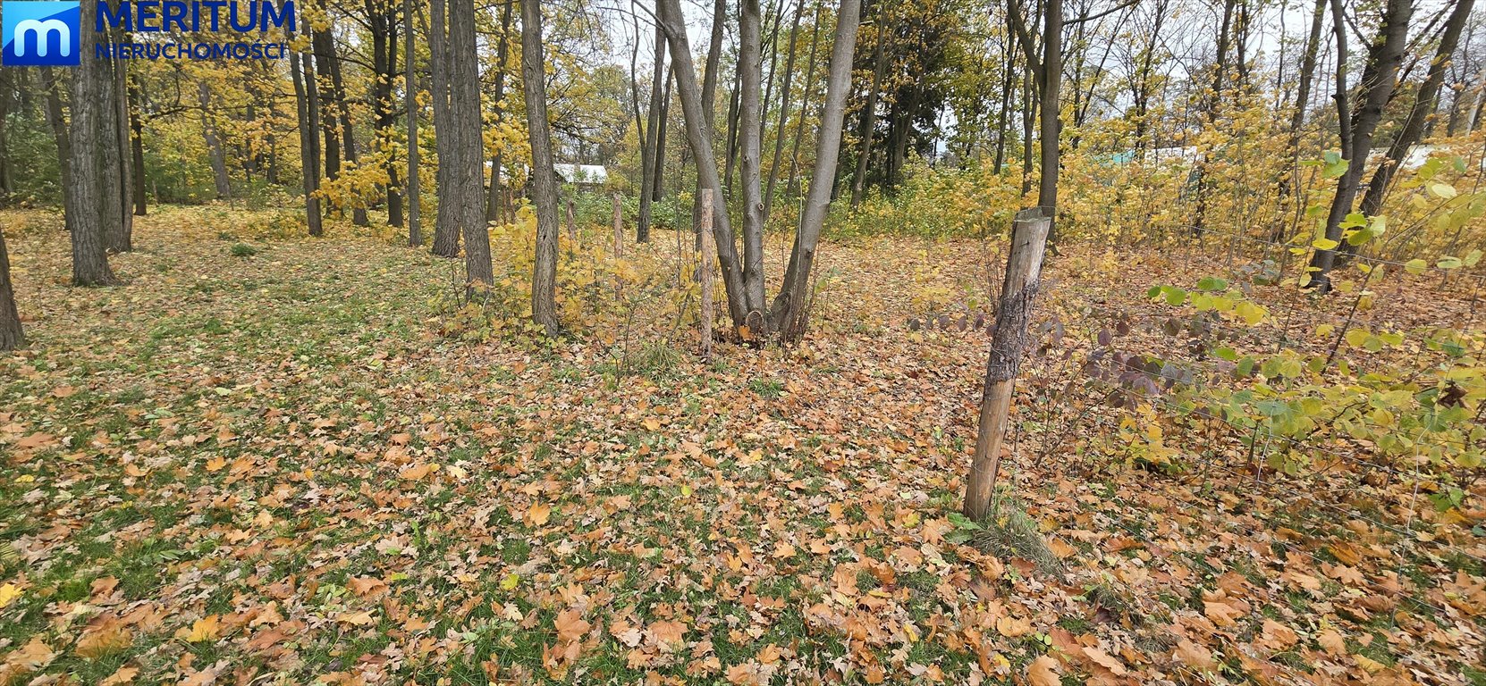 Polecam malowniczą działkę leśną z prawem zabudowy 2590 m² w Podkowie Leśnej Podkowa Leśna  2 590m2 Foto 1