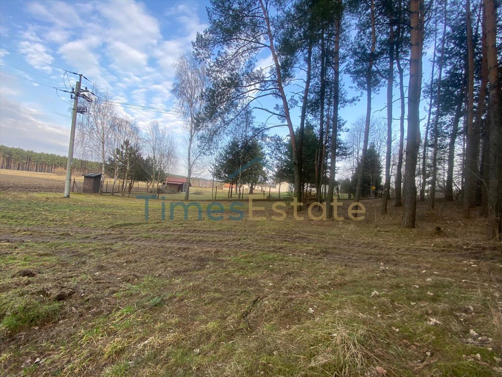 Działka budowlana na sprzedaż Ostrówek  5 700m2 Foto 9