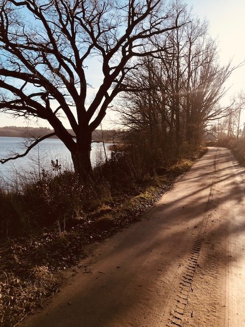 Działka 1000 m² pod zabudowę jednorodzinną w Salino Salino, JEZIORNA MALINOWA LEŚNA  1 000m2 Foto 1