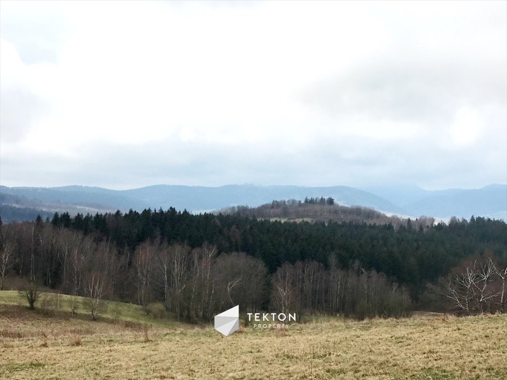 Działka rolna na sprzedaż Sierpnica, Zielone Wzgórze  2 800m2 Foto 1