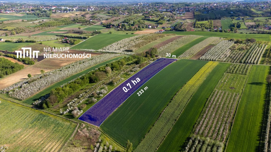Działka rolna na sprzedaż Sandomierz  7 000m2 Foto 1