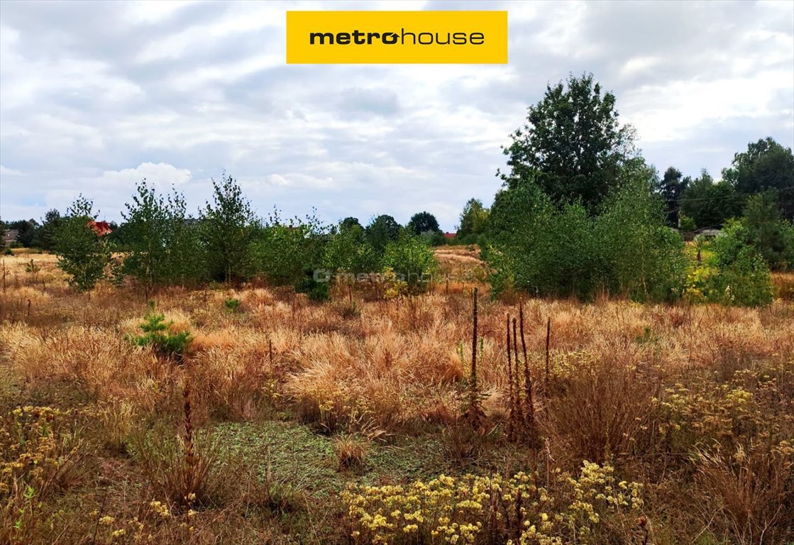 Działka budowlana na sprzedaż Feliksów  954m2 Foto 1