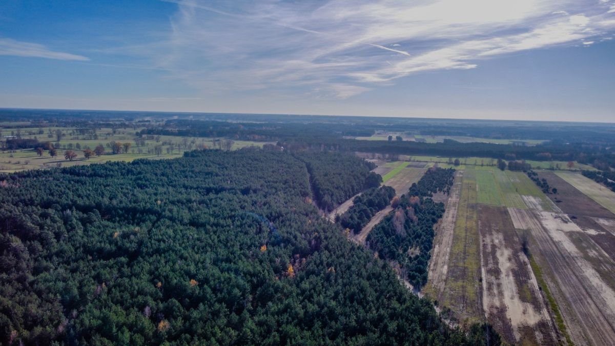 Działka rekreacyjna na sprzedaż Grądy Szlacheckie  15 400m2 Foto 3