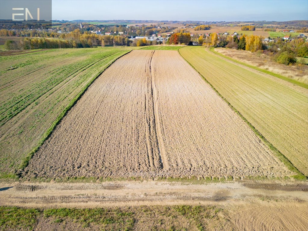 Działka rolna na sprzedaż Zgłobień  6 100m2 Foto 3