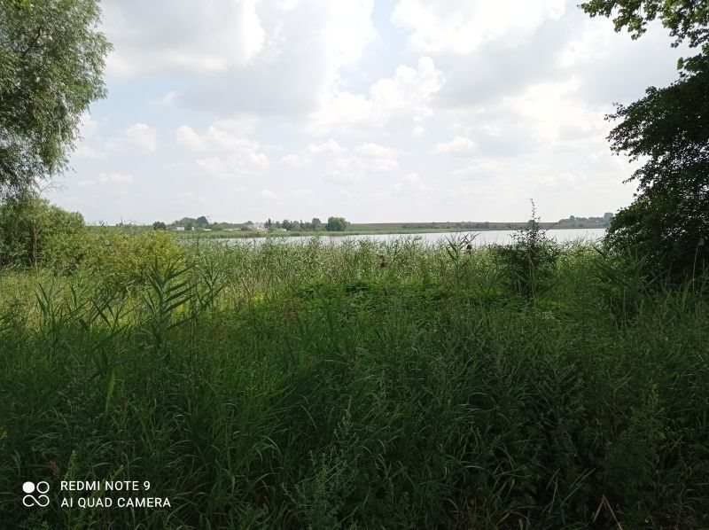 Działka komercyjna na sprzedaż Kłecko, Gorzuchowo  1 949m2 Foto 5