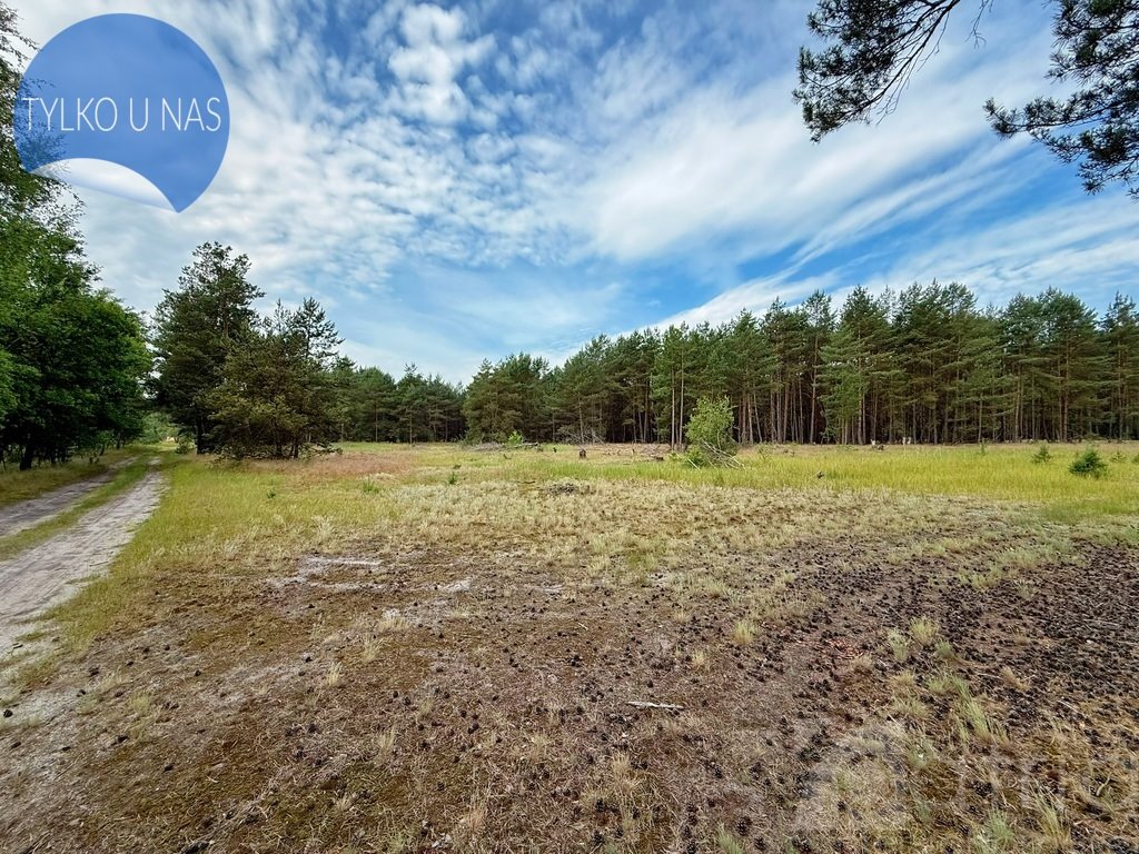 Działka budowlana na sprzedaż Sowno  26 000m2 Foto 1