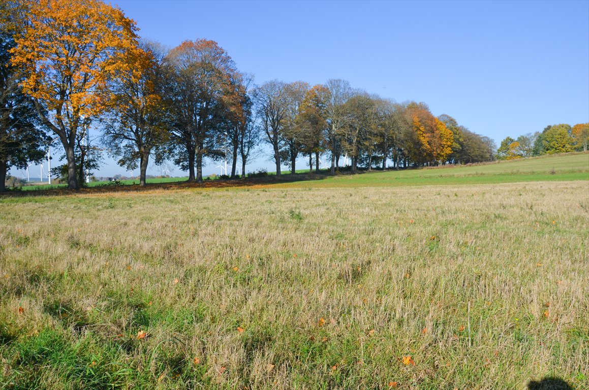 Działka siedliskowa na sprzedaż Borkowo  3 000m2 Foto 8