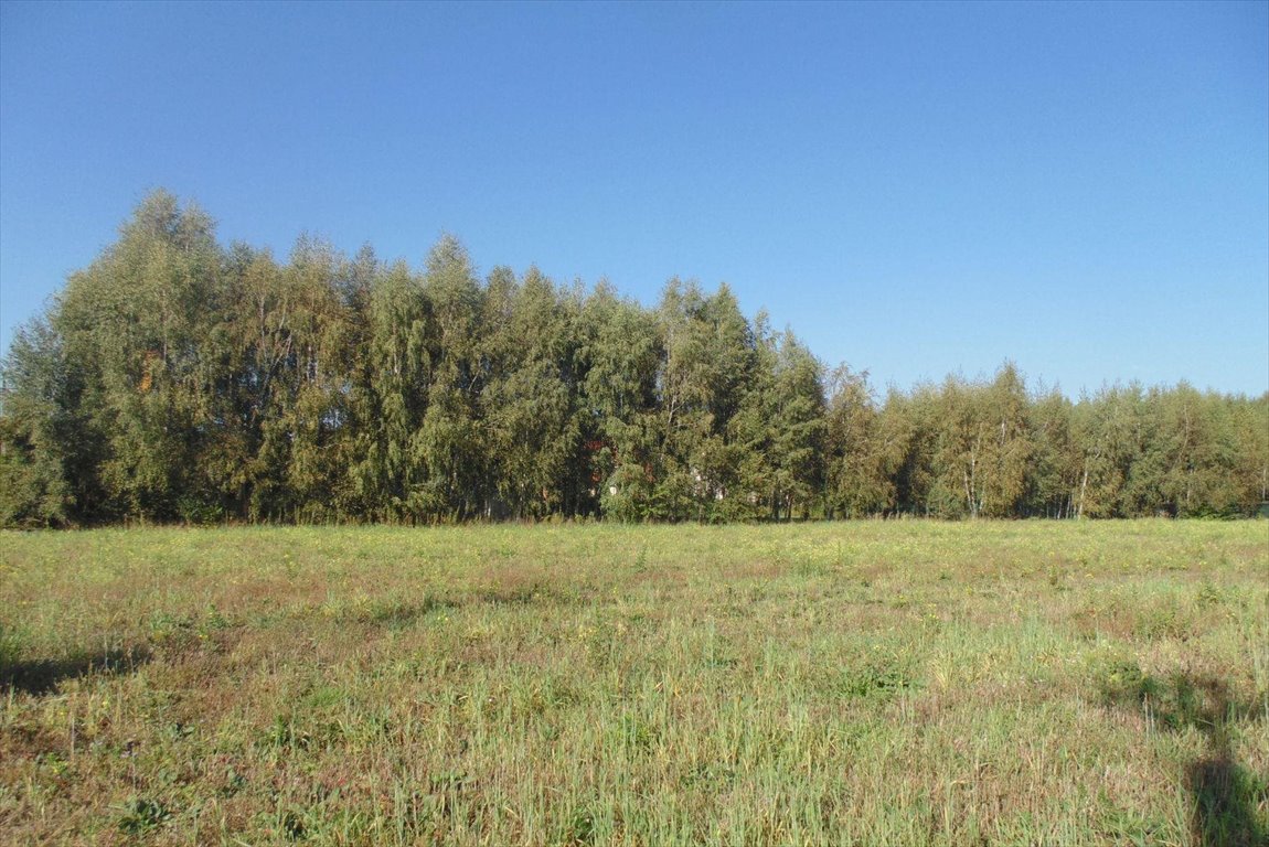 Działka budowlana na sprzedaż Krzywiec, Myśliwska  1 978m2 Foto 9