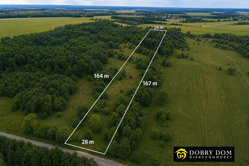 Działka rolna z lasem i dostępem do drogi - zapraszam Wólka Poduchowna  4 647m2 Foto 1