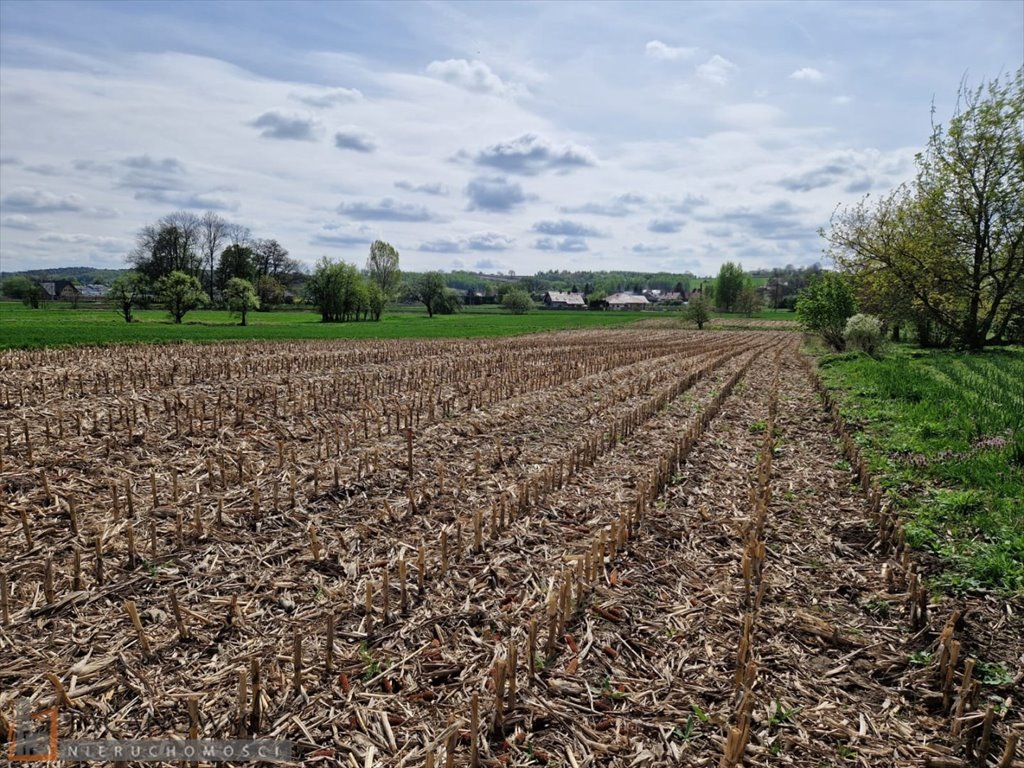 Działka budowlana w Goszczy 8 arów, media, spokojna okolica Goszcza  800m2 Foto 1