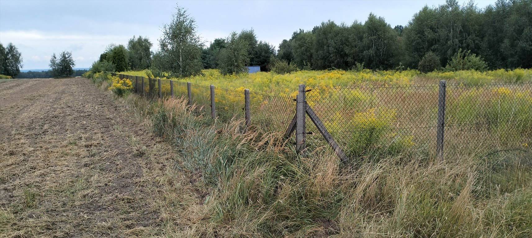 Działka budowlana na sprzedaż Mzyki, Polna  8 400m2 Foto 2