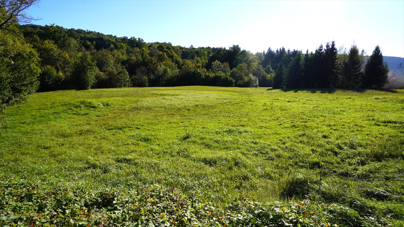 Działka budowlana na sprzedaż Sękowa  8 200m2 Foto 4