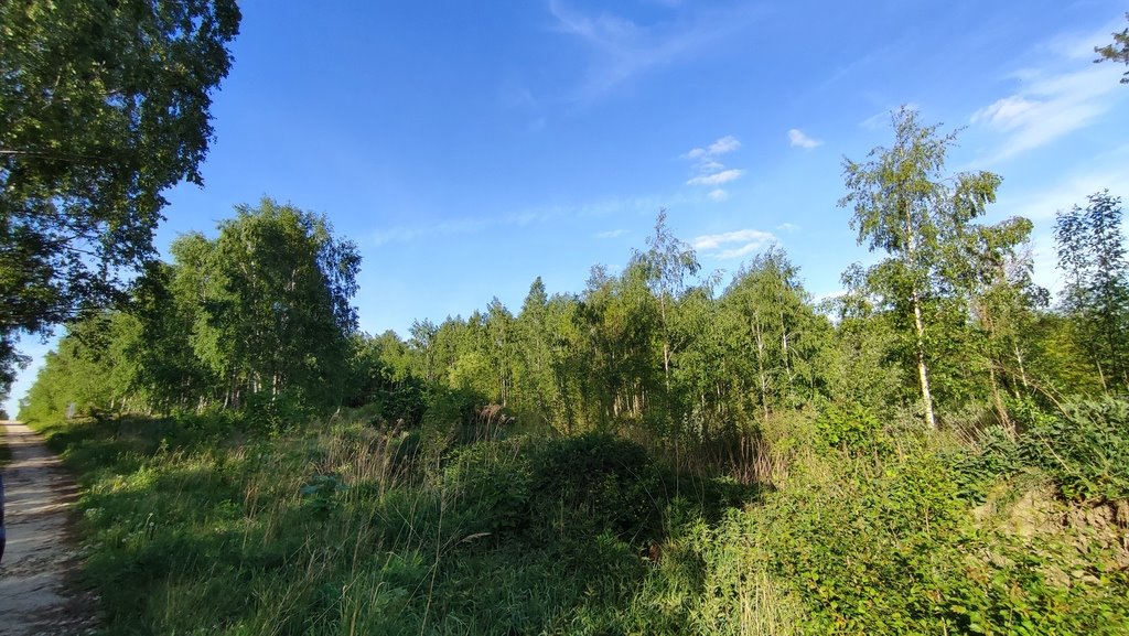 Działka inna na sprzedaż Łagiewniki Nowe, Słoneczna  900m2 Foto 5