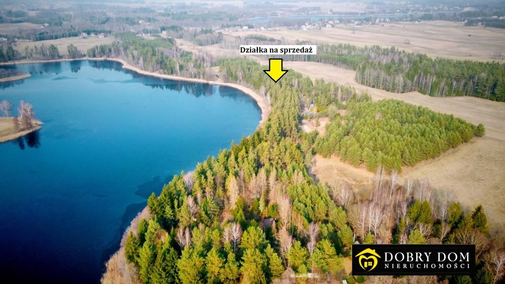 Działka z linią brzegową jeziora Wierśnie, zalesiona, 7007 m2 Giby  7 007m2 Foto 1