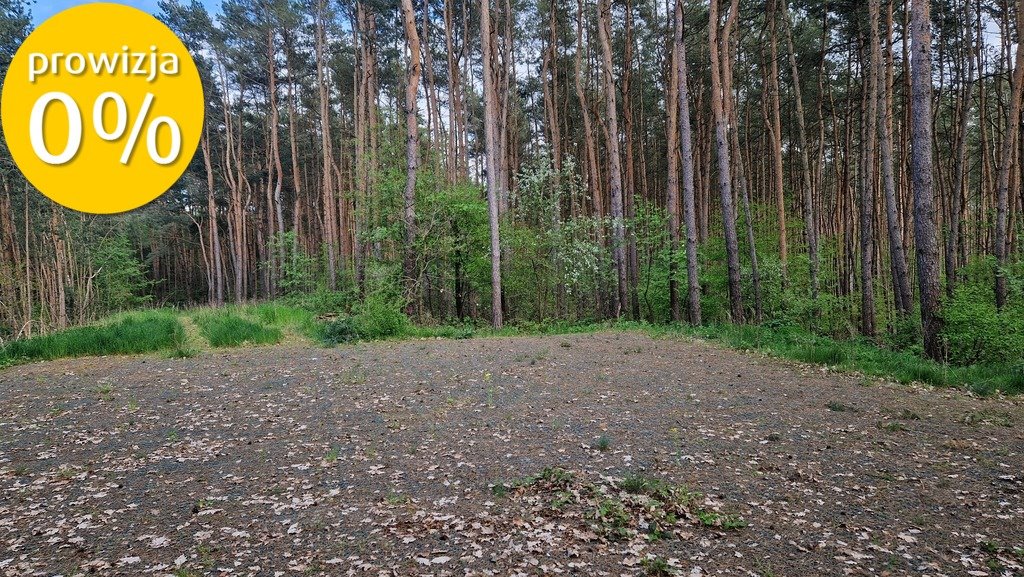 Działka rekreacyjna na sprzedaż Adamowo  4 600m2 Foto 14