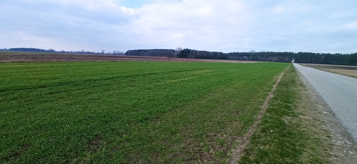 Działka budowlana na sprzedaż Łowicz, Łódzka  6 500m2 Foto 1