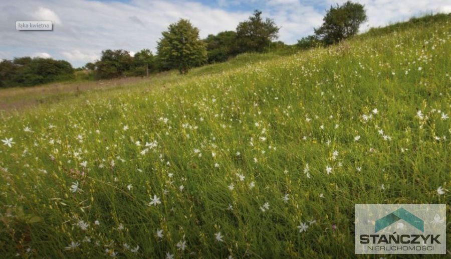 Działka budowlana na sprzedaż Resko  2 066m2 Foto 1