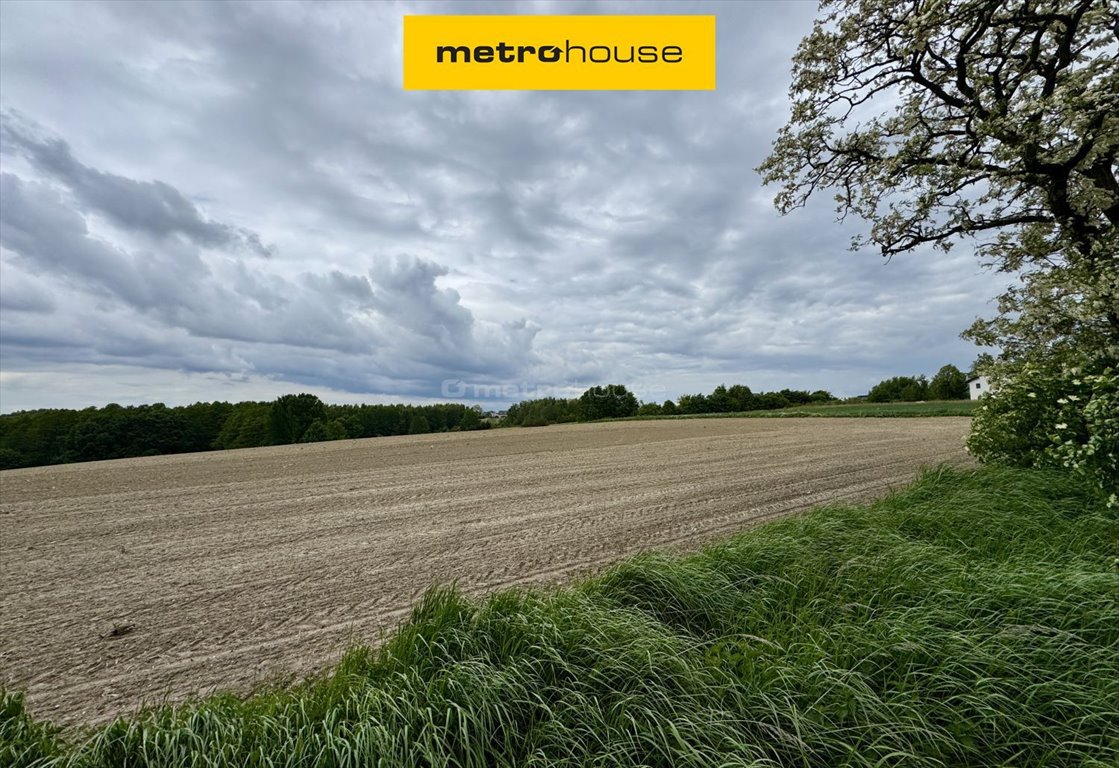 Działka budowlana na sprzedaż Czernica, Jana III Sobieskiego  9 660m2 Foto 1