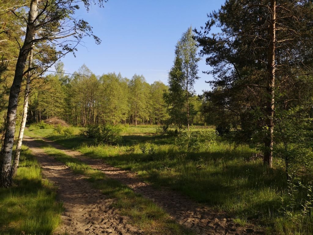 Działka budowlana na sprzedaż Karwica  36 100m2 Foto 6