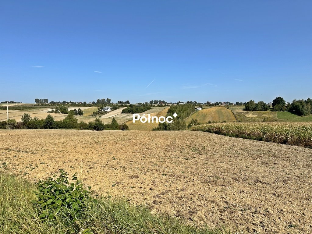 Działka rolna 11 290 m2 z mediami, asfalt, Podlesice Podlesice  11 290m2 Foto 1