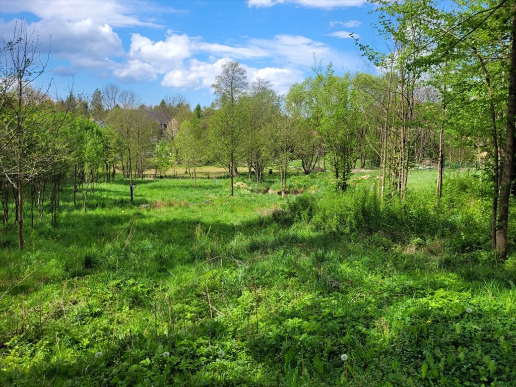 Działka budowlana na sprzedaż Rybnica  2 800m2 Foto 3