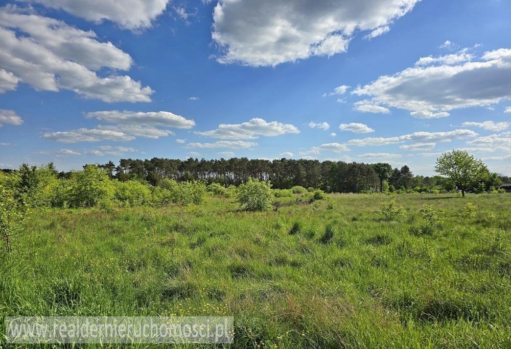 Działka inna na sprzedaż Zielona Góra, Jędrzychów  10 295m2 Foto 1