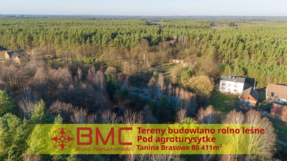 Działka budowlana na sprzedaż Tanina, Brasowe  80 411m2 Foto 1