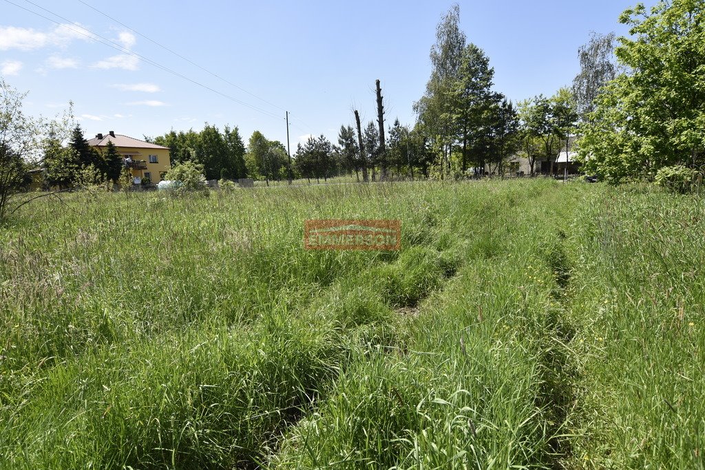 Działka budowlana na sprzedaż Ochodza  2 500m2 Foto 3