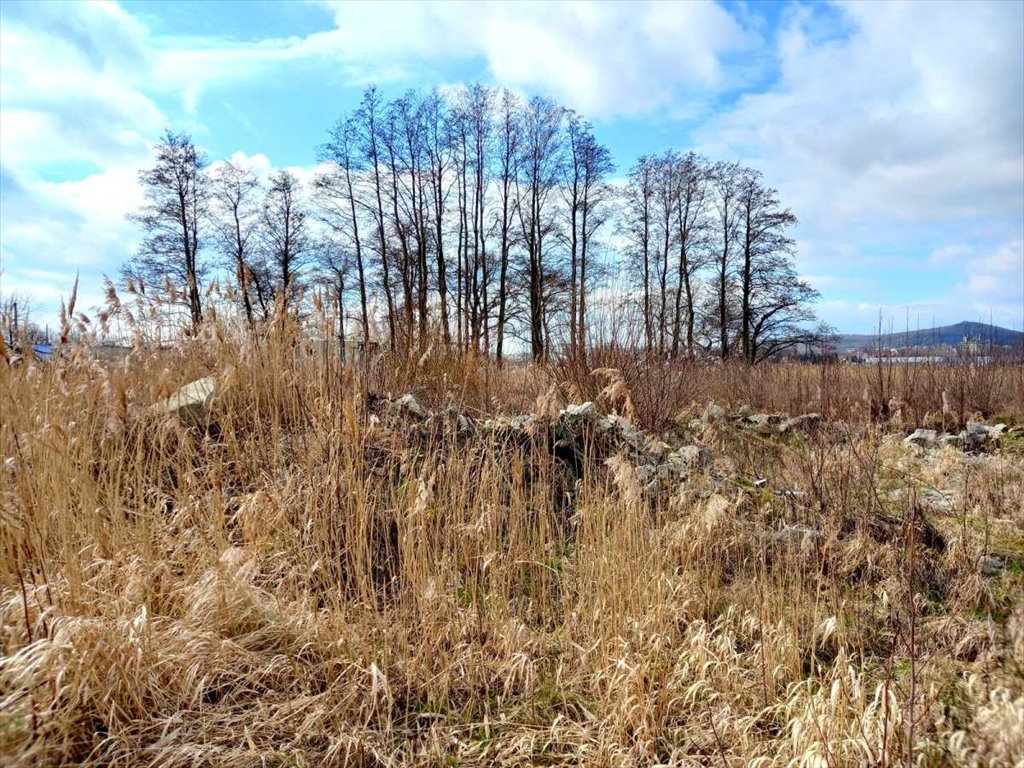 Działka inna na sprzedaż Strzegom  100m2 Foto 2