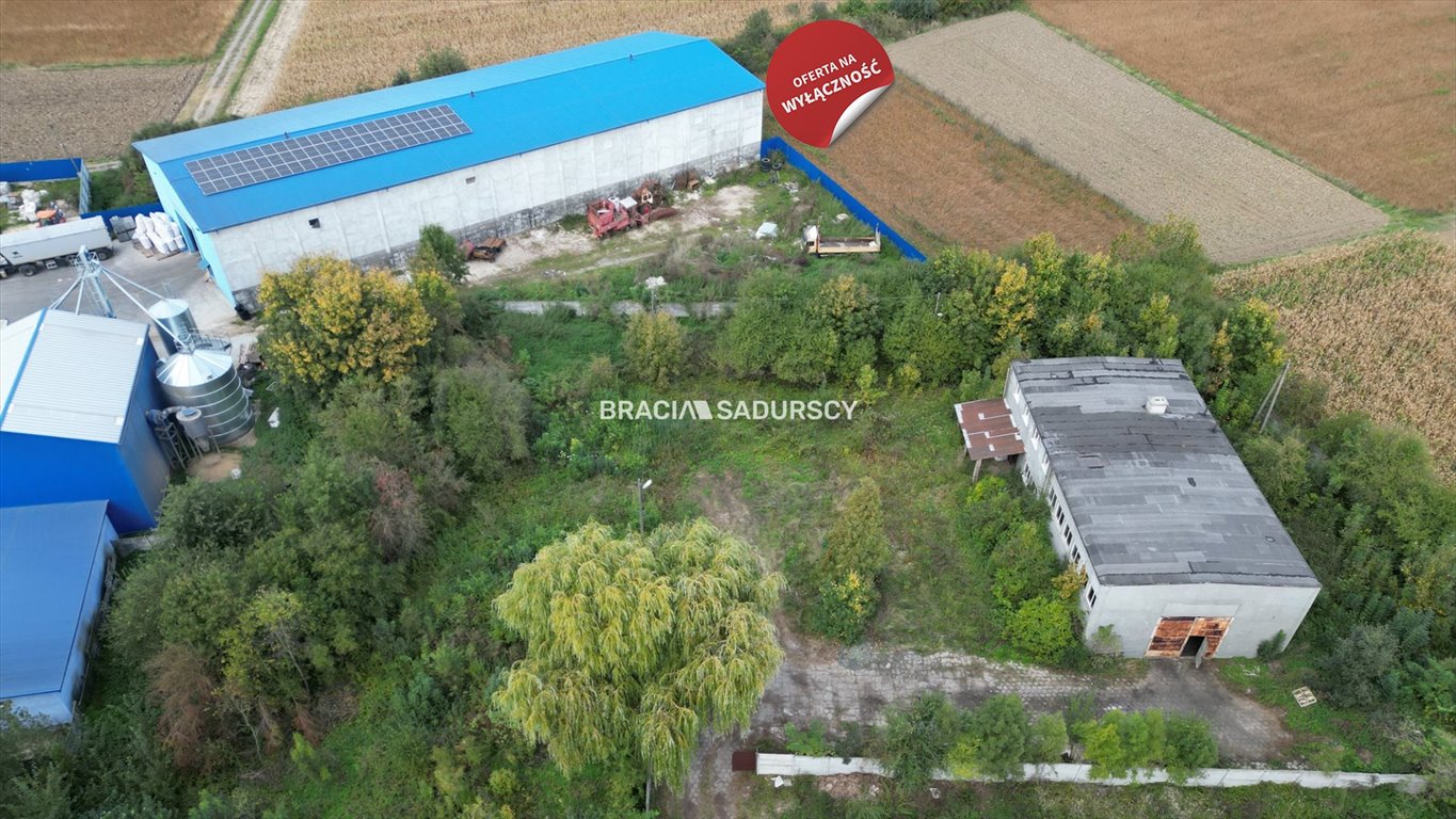 Magazyn na sprzedaż Siedliszowice  9 900m2 Foto 8