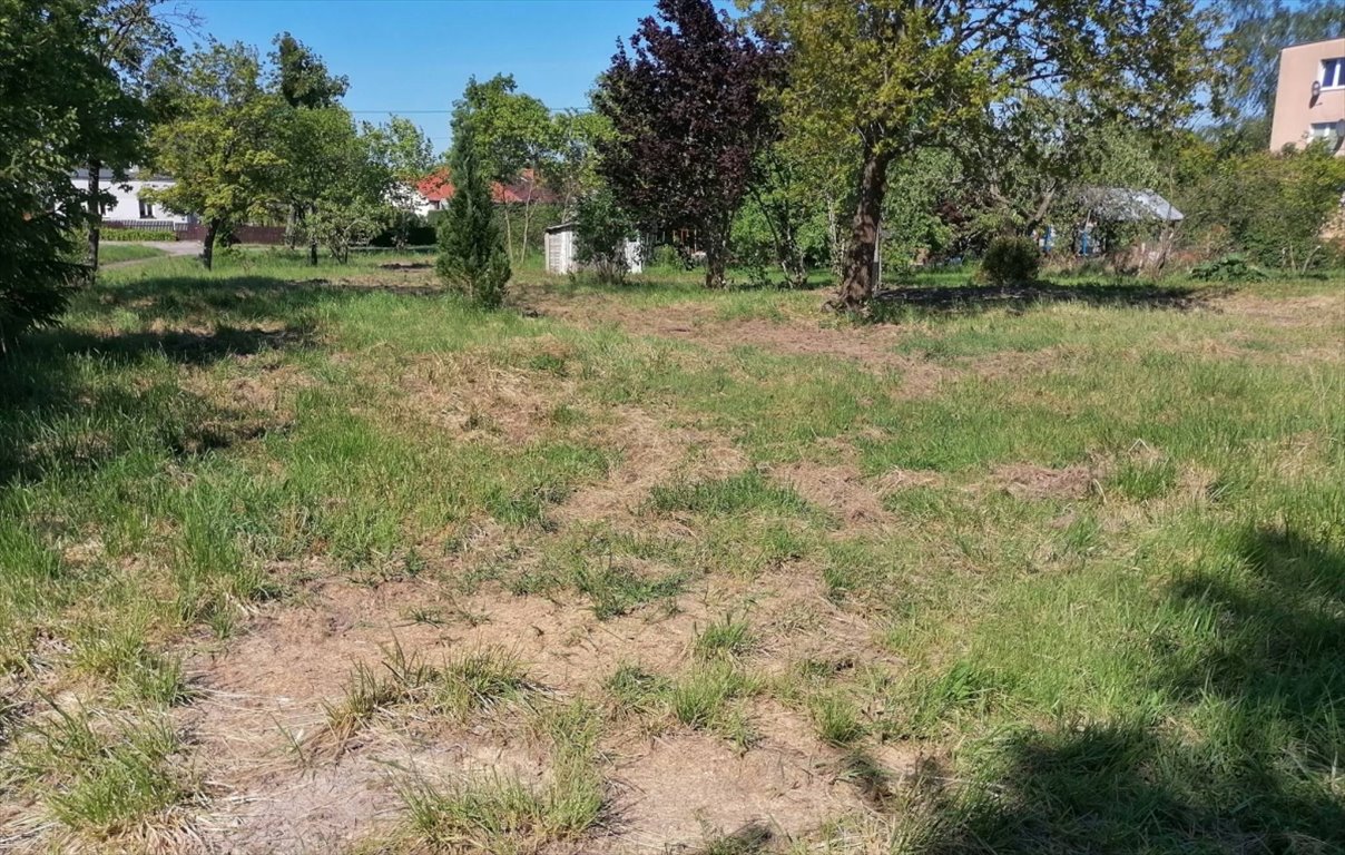 Działka budowlana na sprzedaż Frombork, Biedkowo Osada  1 973m2 Foto 5