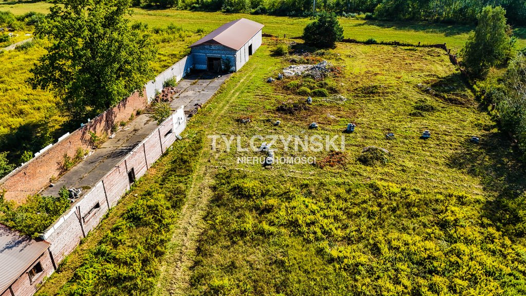 Lokal użytkowy na sprzedaż Kozerki  800m2 Foto 12