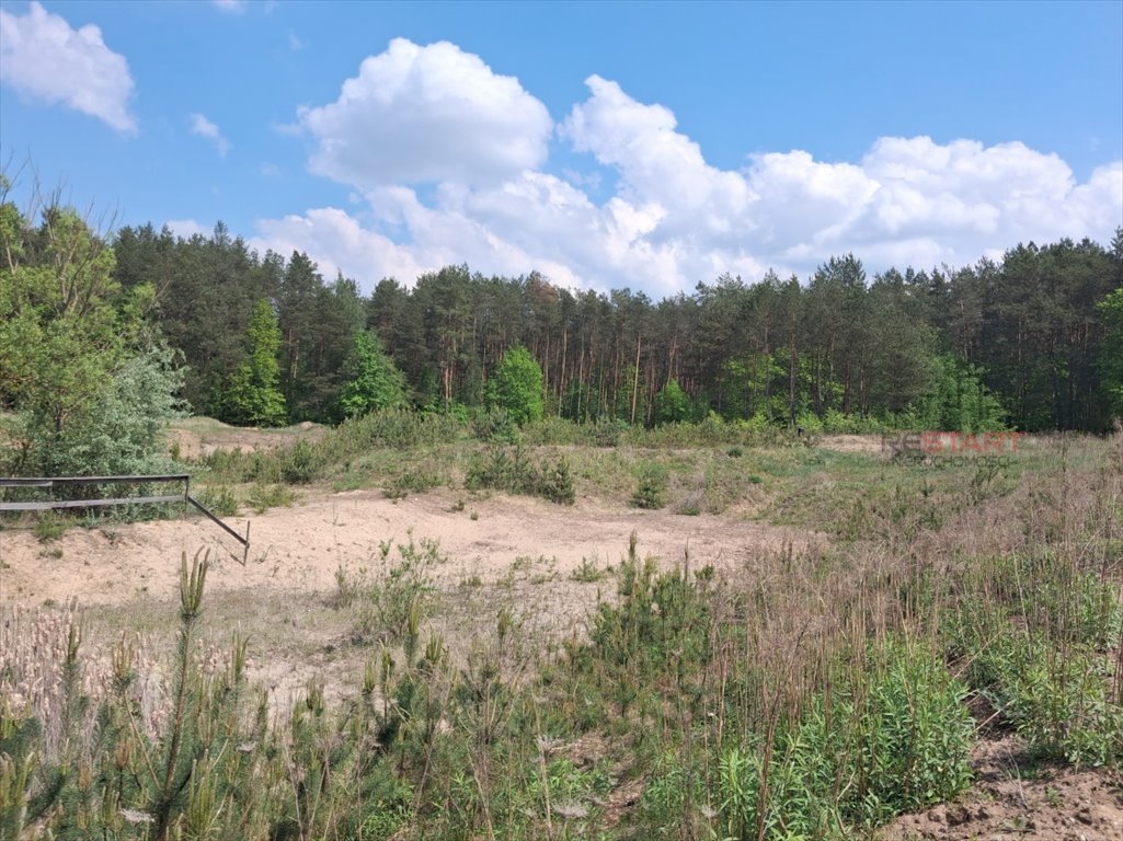 Działka 3684 m² z lasem i rzeką w Świętochowie Świętochów  3 684m2 Foto 1