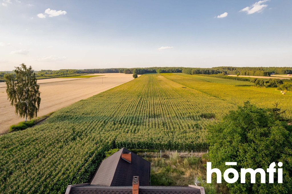 Działka siedliskowa na sprzedaż Zawady  119 300m2 Foto 2