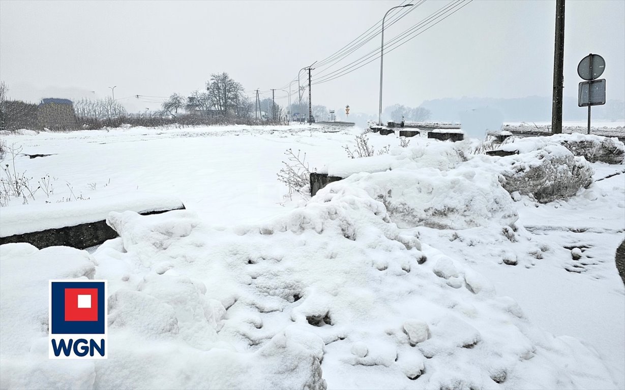 Działka inwestycyjna na sprzedaż Pawłowice  2 529m2 Foto 8