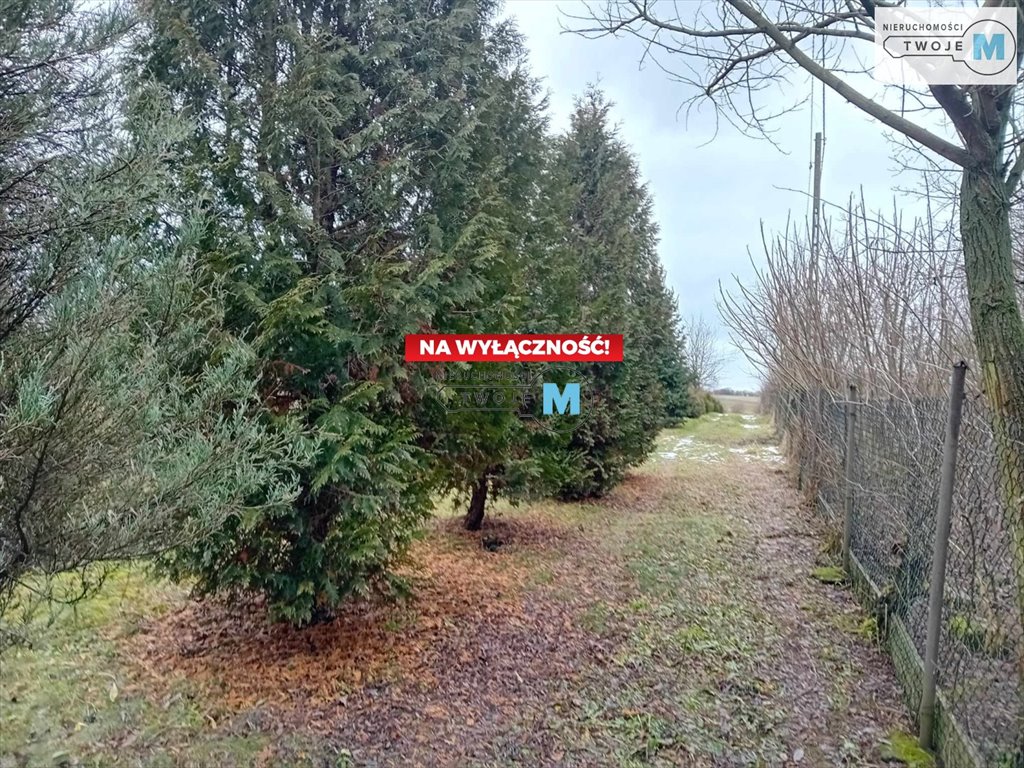 Działka inna na sprzedaż Pierzchnica, Pierzchnianka  6 500m2 Foto 11