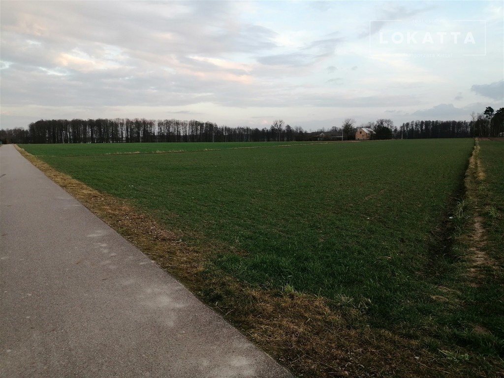 Działka 3 800 m² pod inwestycję - malownicza okolica Nowe Wrońska  3 800m2 Foto 1