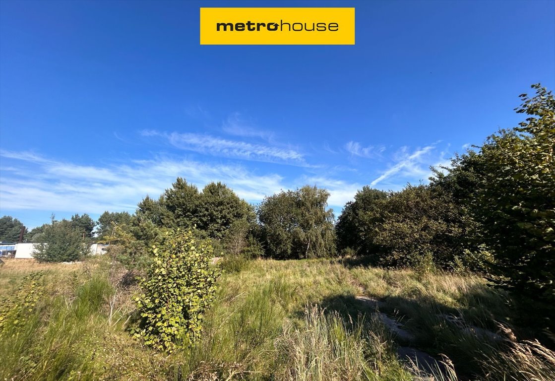 Działka budowlana na sprzedaż Stary Borek  6 100m2 Foto 1