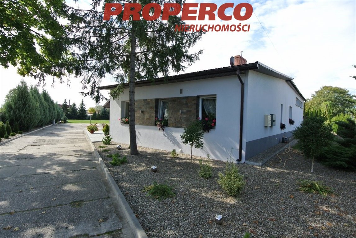 Działka z halą i magazynem, 4870 m², Staszów Staszów  4 870m2 Foto 1