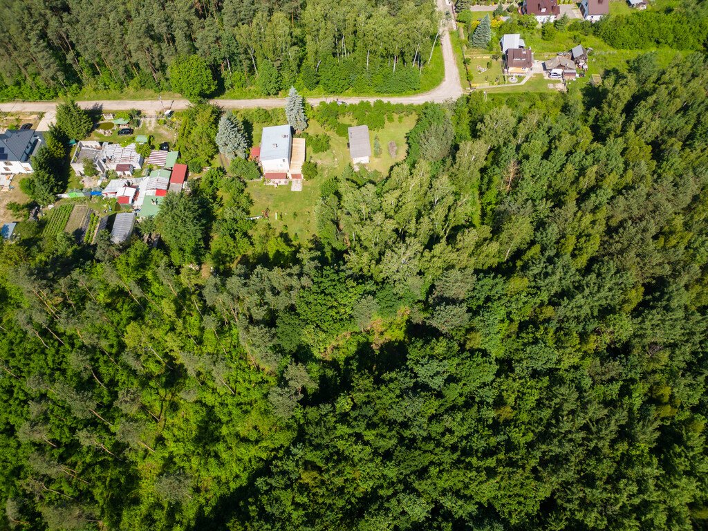 Działka budowlana na sprzedaż Ostrowiec Świętokrzyski, Las Rzeczki  2 356m2 Foto 14