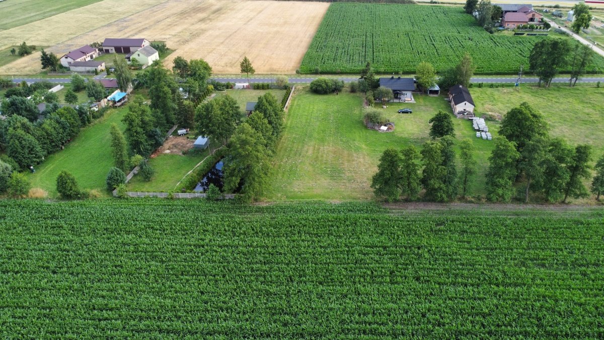 Działka budowlana na sprzedaż Powodów Trzeci, Powodów Trzeci  2 600m2 Foto 7