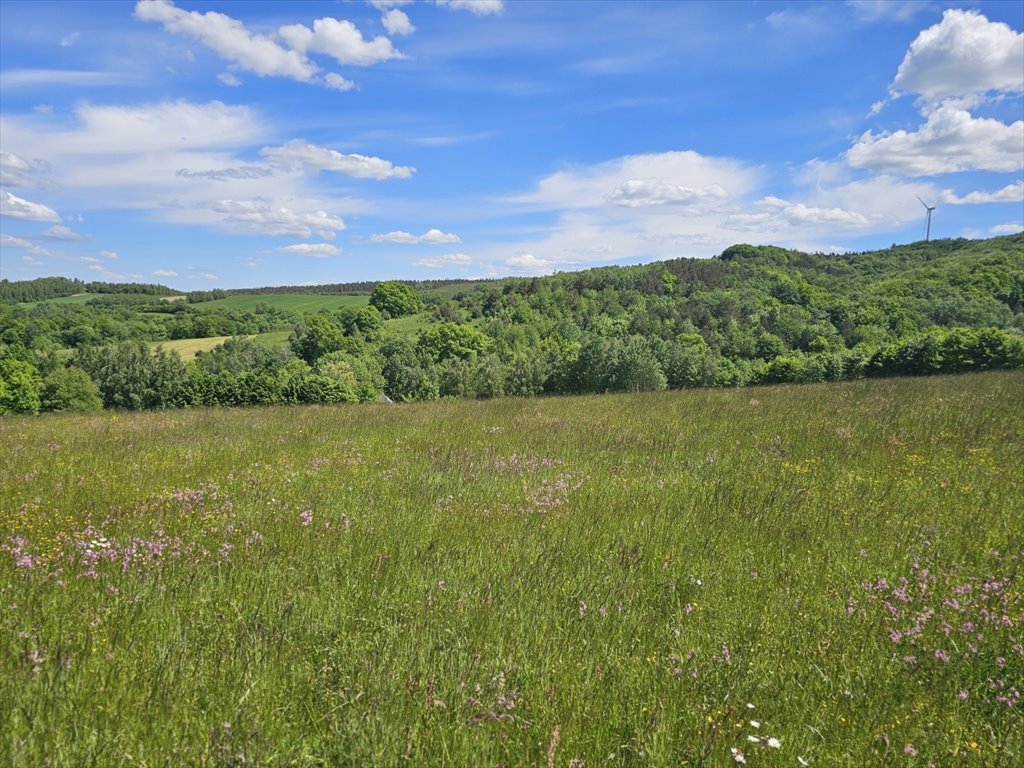 Dom na sprzedaż Wolica, Wolica  110m2 Foto 10