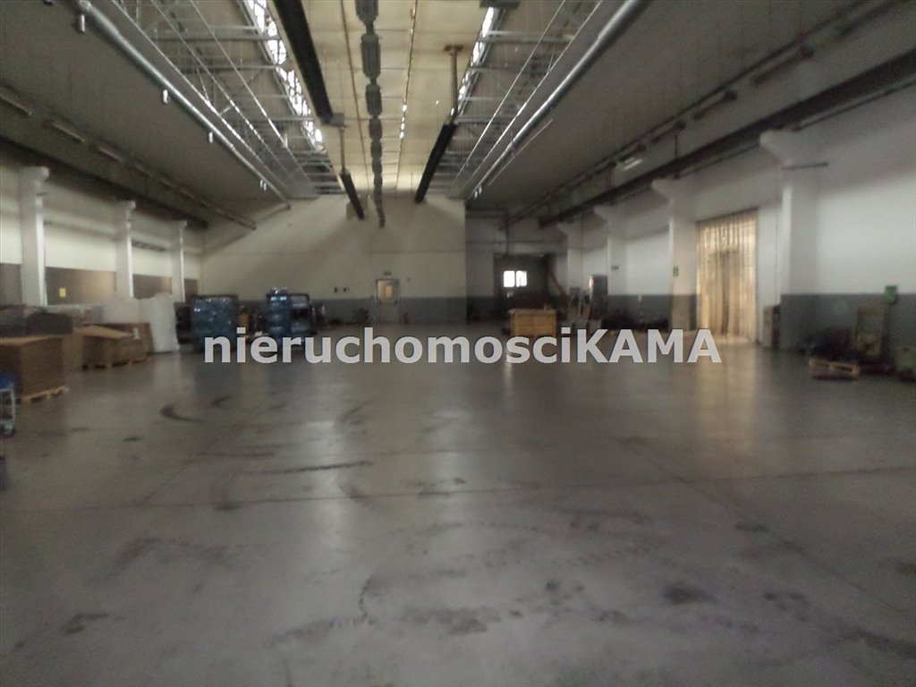 Magazyn na wynajem Bielsko-Biała  1 209m2 Foto 2